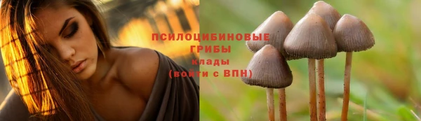 МДПВ Алзамай