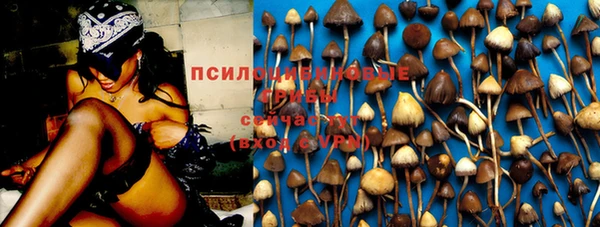 МДПВ Алзамай