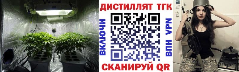 mega как зайти цена наркотик Алзамай ТГК вейп с тгк