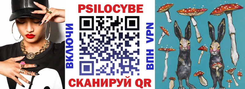 где купить наркоту  Алзамай  мега онион  Галлюциногенные грибы Psilocybe 